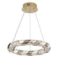 Светильник подвесной LED Citrus LSP-7156 Lussole прозрачный 1 лампа, основание золотое в стиле современный кольца