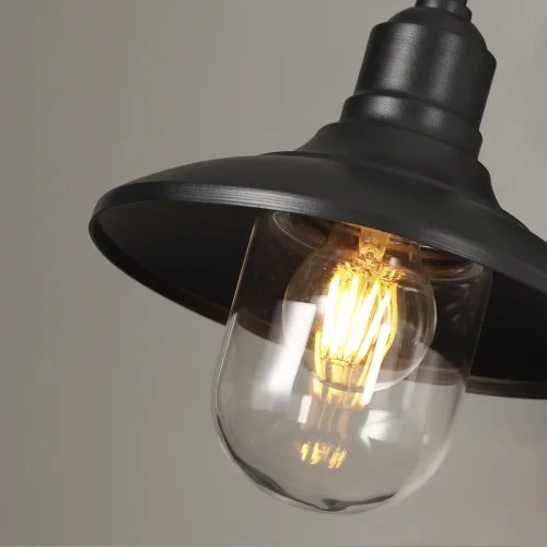 Настенный светильник Campa 4965/1W Odeon Light уличный IP44 чёрный 1 лампа, плафон прозрачный в стиле классический E27 фото 4