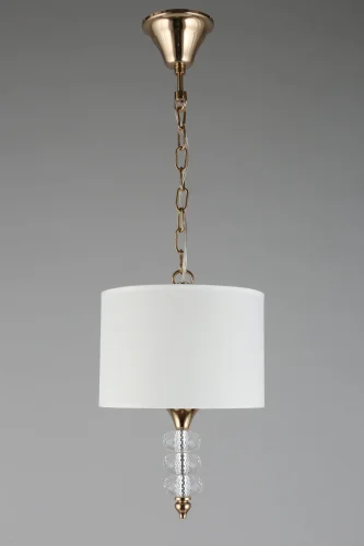 Светильник подвесной Franula APL.724.06.01 Aployt белый 1 лампа, основание золотое в стиле классический  фото 2