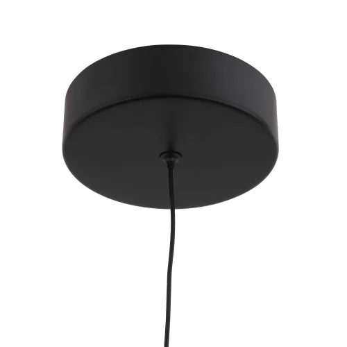 Светильник подвесной Bisaria SL393.403.01 ST-Luce белый 1 лампа, основание чёрное в стиле современный  фото 3