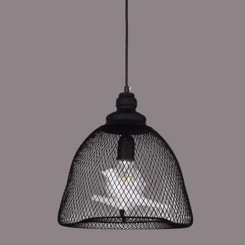 Светильник подвесной Gabbia 1752-1P Favourite чёрный 1 лампа, основание чёрное в стиле лофт  фото 4
