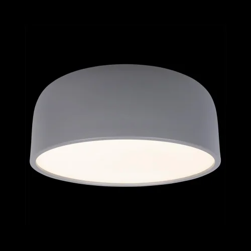 Светильник потолочный LED Axel 10201/350 Grey LOFT IT белый серый 1 лампа, основание серое в стиле современный  фото 2