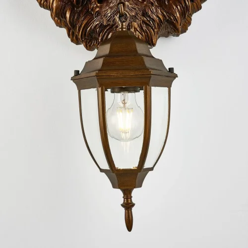 Настенный светильник Hant 2818-1W Favourite уличный IP44 коричневый 1 лампа, плафон прозрачный в стиле современный хай-тек E27 фото 4
