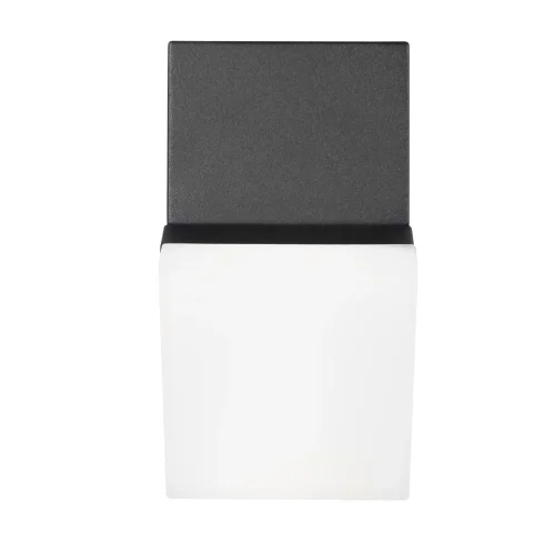 Настенный светильник LED Eterno 100010/A LOFT IT уличный IP54 чёрный 1 лампа, плафон чёрный в стиле современный хай-тек LED фото 5