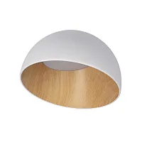Светильник потолочный LED Egg 10197/350 White LOFT IT белый бежевый коричневый 1 лампа, основание коричневое белое в стиле современный 