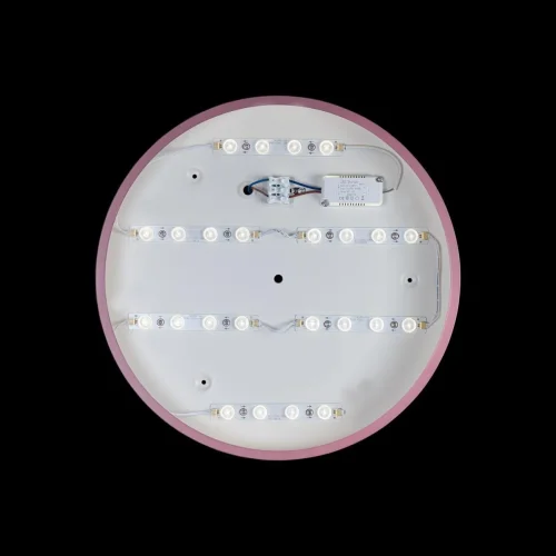 Светильник потолочный LED Axel 10002/24 Pink LOFT IT белый 1 лампа, основание розовое в стиле современный  фото 3
