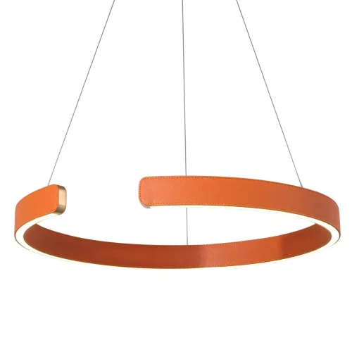 Светильник подвесной LED Ring 10025/400 Orange LOFT IT оранжевый 1 лампа, основание золотое в стиле современный хай-тек кольца фото 3