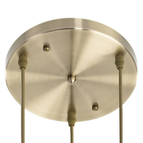 Светильник подвесной Гаруда CL420033 Citilux прозрачный 3 лампы, основание бронзовое в стиле современный каскад фото 8