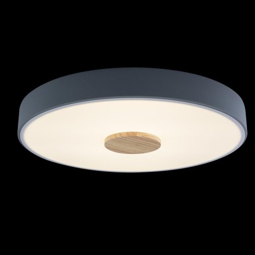 Светильник потолочный LED Axel 10003/24 Grey LOFT IT белый 1 лампа, основание серое в стиле современный  фото 5