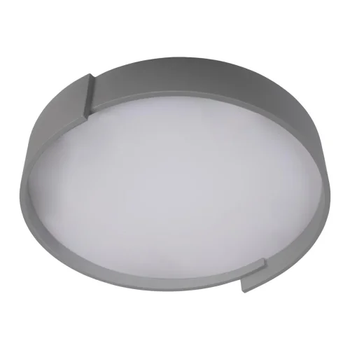 Светильник потолочный LED Coin 10200 Grey LOFT IT белый 1 лампа, основание серое в стиле современный  фото 3