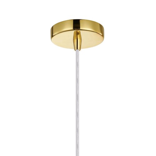 Светильник подвесной Aesthetic 2820-1P Favourite прозрачный 1 лампа, основание золотое в стиле классический  фото 3
