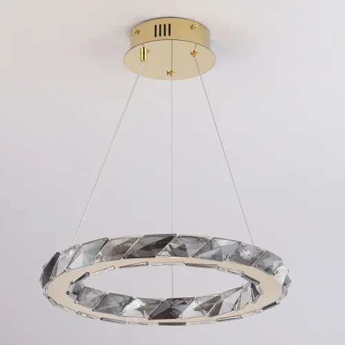 Светильник подвесной LED Citrus LSP-7156 Lussole прозрачный 1 лампа, основание золотое в стиле современный кольца фото 2