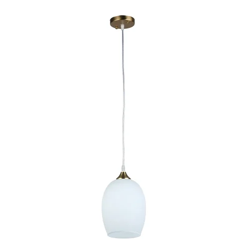 Светильник подвесной Propus A4344SP-1PB Arte Lamp белый 1 лампа, основание медь в стиле современный 