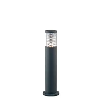 Парковый светильник TRONCO PT1 H60 ANTRACITE Ideal Lux уличный IP44 чёрный серый 1 лампа, плафон прозрачный в стиле современный E27