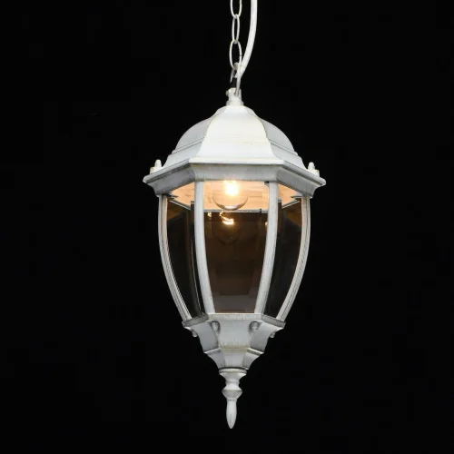 Подвесной светильник Фабур 804010801 DeMarkt уличный IP44 белый 1 лампа, плафон прозрачный в стиле классический E27 фото 4