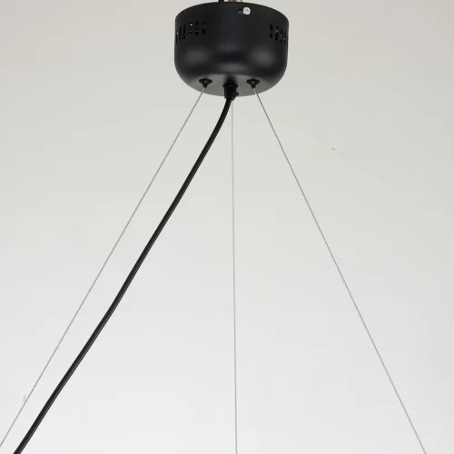 Люстра подвесная Light point 2997-6P Favourite чёрная на 12 ламп, основание чёрное в стиле хай-тек  фото 3