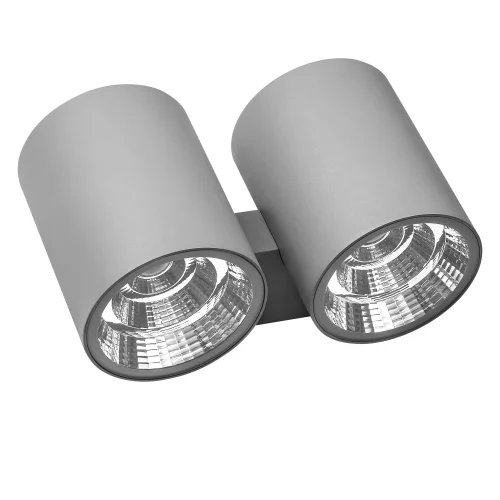 Настенный светильник LED Paro 372694 Lightstar уличный IP65 серый 2 лампы, плафон серый в стиле хай-тек LED