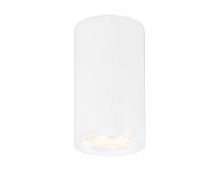Светильник накладной TN213133 Ambrella light белый 1 лампа, основание белое в стиле минимализм хай-тек круглый