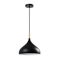 Светильник подвесной Eline V1291-1P Moderli чёрный 1 лампа, основание чёрное в стиле скандинавский 