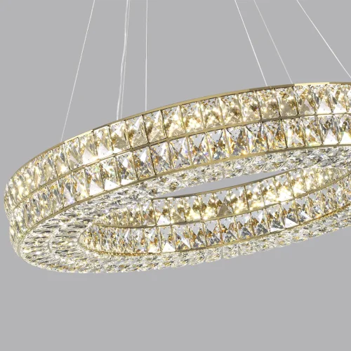 Люстра подвесная LED Panta 4926/85L Odeon Light прозрачная на 1 лампа, основание золотое в стиле современный кольца фото 8
