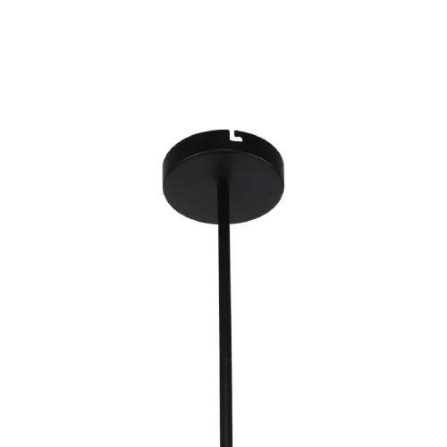 Люстра на штанге LED Ducan 3094-8P F-promo чёрная на 4 лампы, основание чёрное в стиле современный  фото 2