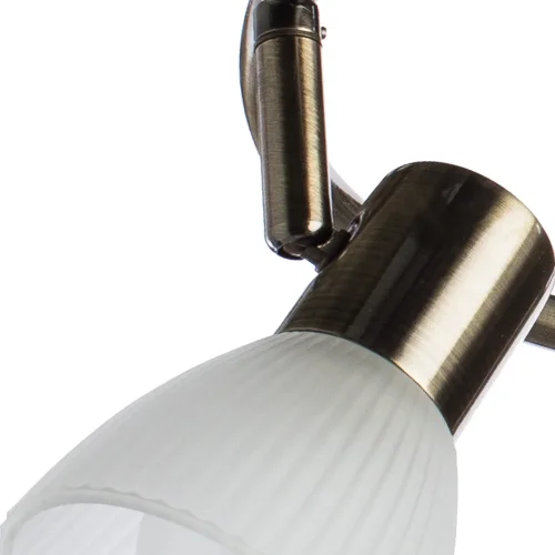 Спот С 3 лампами PARRY A5062PL-3AB Arte Lamp белый E14 в стиле современный  фото 3
