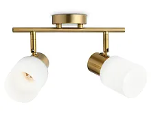 Спот с 2 лампами TR3969 Ambrella light белый E27 в стиле модерн классика 