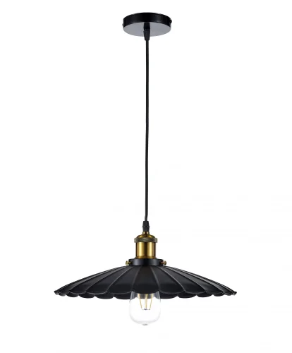 Светильник подвесной лофт Marco E 1.3.P1 B Arti Lampadari чёрный 1 лампа, основание чёрное в стиле лофт 