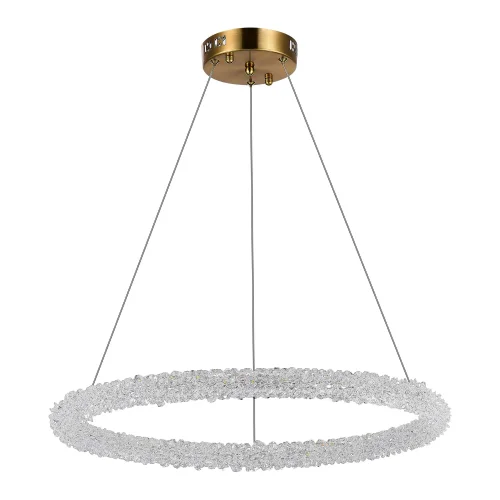 Люстра подвесная LED с пультом Avana SL6110.213.01 ST-Luce прозрачная на 1 лампа, основание золотое в стиле современный с пультом кольца фото 2