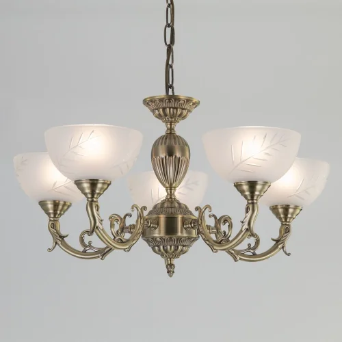 Люстра подвесная Кремона CL406153 Citilux белая на 5 ламп, основание бронзовое в стиле классический  фото 2