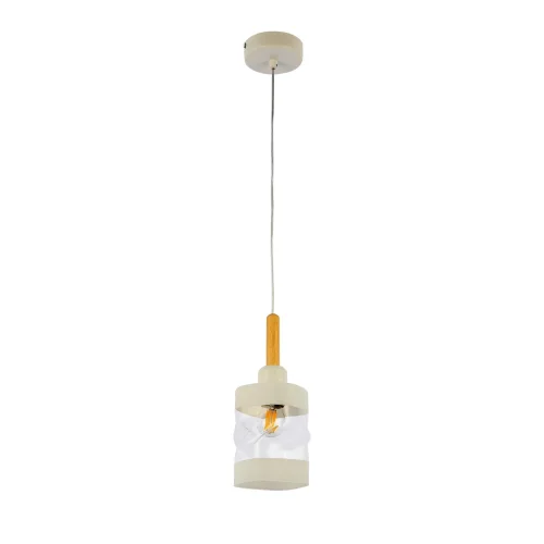 Светильник подвесной Abiritto SLE114503-01 Evoluce прозрачный белый 1 лампа, основание белое в стиле современный  фото 2