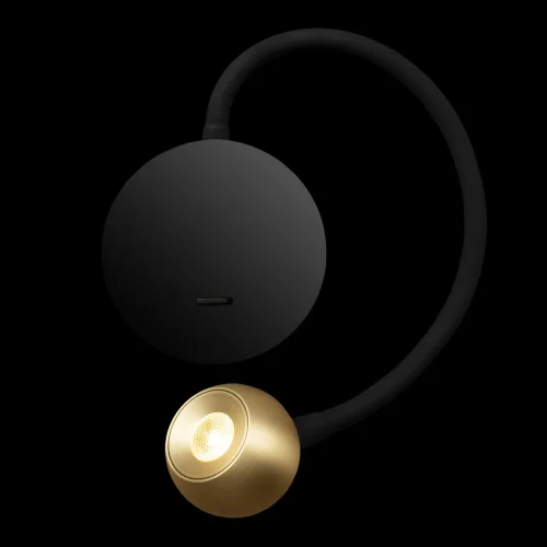 Бра с выключателем LED Point 10254 Brass LOFT IT латунь на 1 лампа, основание чёрное в стиле хай-тек для чтения гибкая ножка фото 6
