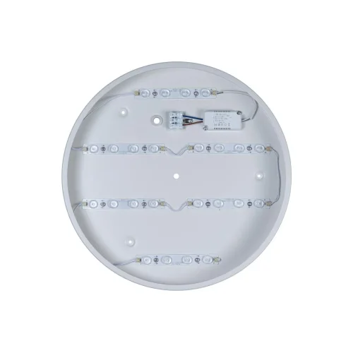 Светильник потолочный LED Axel 10002/24 White LOFT IT белый 1 лампа, основание белое в стиле современный  фото 4