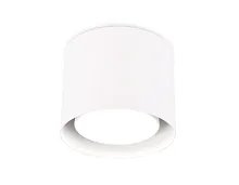 Светильник накладной TN700 Ambrella light белый 1 лампа, основание белое в стиле хай-тек современный круглый