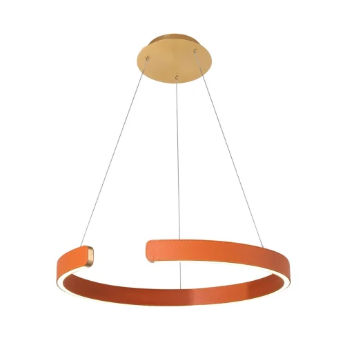 Светильник подвесной LED Ring 10025/400 Orange LOFT IT оранжевый 1 лампа, основание золотое в стиле современный хай-тек кольца фото 2