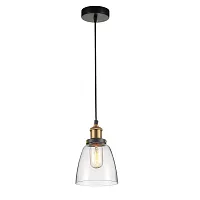 Светильник подвесной лофт Cascabel 1874-1P Favourite прозрачный 1 лампа, основание коричневое бронзовое в стиле лофт 