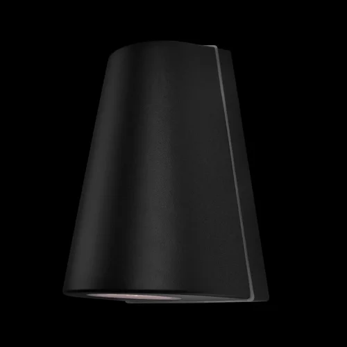 Настенный светильник LED Eterno 100004/2 LOFT IT уличный IP54 чёрный 2 лампы, плафон чёрный в стиле современный хай-тек LED фото 2