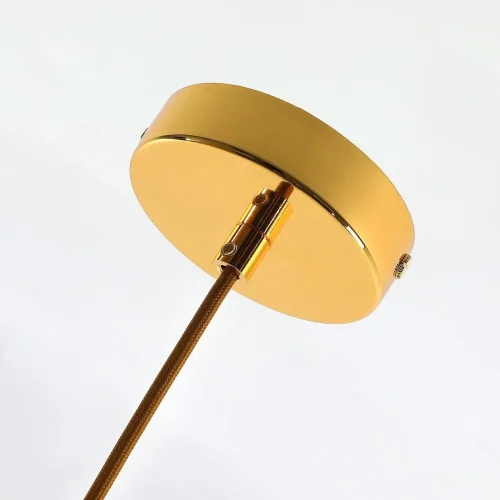 Светильник подвесной Alliance 2730-1P Favourite прозрачный 1 лампа, основание золотое в стиле современный  фото 2