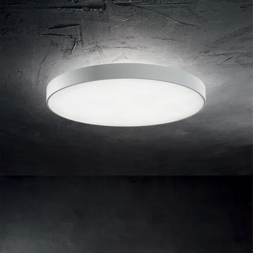 Светильник потолочный LED HALO PL D45 3000K Ideal Lux белый 1 лампа, основание белое в стиле минимализм современный  фото 2