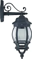 Настенный светильник Paris 1807-1W Favourite уличный IP44 чёрный 1 лампа, плафон прозрачный в стиле кантри классический E27