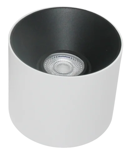 Светильник накладной Alfa LED C064CL-01-25W3K-RD-WB Maytoni чёрный белый 1 лампа, основание белое в стиле современный хай-тек круглый