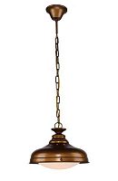 Светильник подвесной Laterne 1330-1P1 Favourite коричневый 1 лампа, основание коричневое в стиле лофт 
