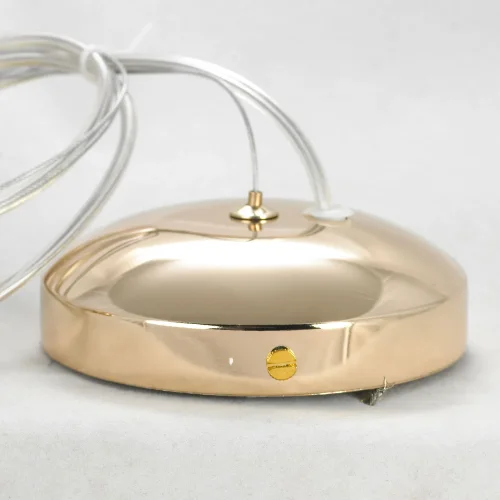 Люстра подвесная LSP-8461 Lussole прозрачная на 9 ламп, основание золотое в стиле современный  фото 5