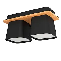 Светильник потолочный Ruscio 390007 Eglo чёрный 2 лампы, основание коричневое чёрное в стиле современный 