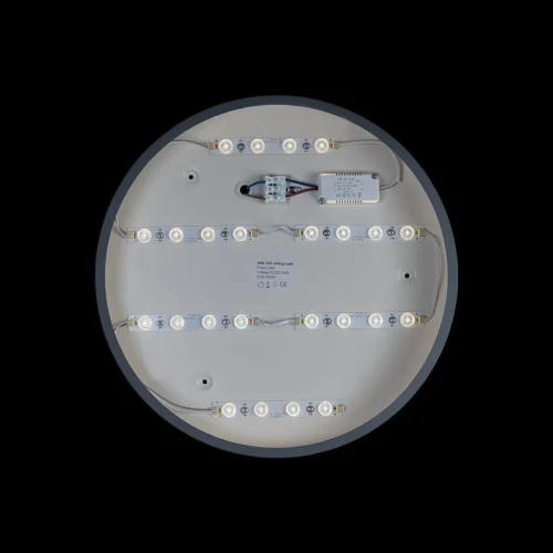 Светильник потолочный LED Axel 10003/24 Grey LOFT IT белый 1 лампа, основание серое в стиле современный  фото 3