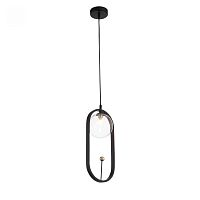 Светильник подвесной Circono SL1201.403.01 ST-Luce прозрачный 1 лампа, основание чёрное в стиле современный 