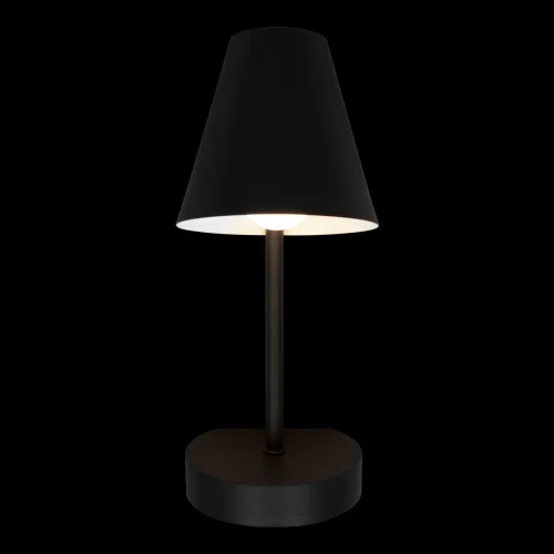 Бра с выключателем Shelf 10216/1W Black LOFT IT чёрный на 1 лампа, основание чёрное в стиле современный  фото 3