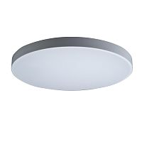 Светильник потолочный LED Axel 10002/48 White LOFT IT белый 1 лампа, основание белое в стиле современный 