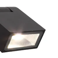 Настенный светильник Visum 3024-1W Favourite уличный IP44 чёрный 1 лампа, плафон прозрачный в стиле современный LED