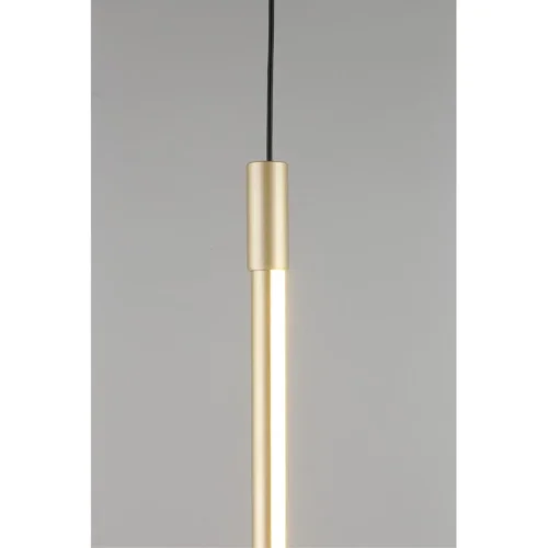Светильник подвесной LED Gabi APL.0123.16.15 Aployt золотой 1 лампа, основание золотое в стиле современный трубочки фото 2